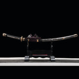 The Akebono T10 Steel Tachi