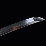 The Rinkaze T10 Steel Tachi