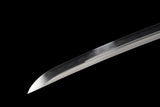 The Aokaze T10 Steel Katana