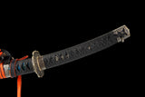 The Aokaze T10 Steel Katana