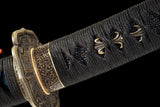 The Aokaze T10 Steel Katana