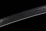 The Shinrin T10 Steel Tachi