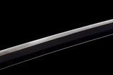 The Muichiro Sword Spring steel katana