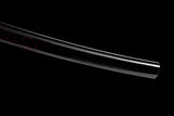 The Surudoi Wakizashi