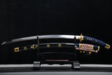 The Yamitsuki Carbon Steel Tachi