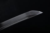 The Yamitsuki Carbon Steel Tachi