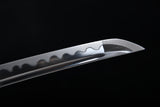 The Namihana Carbon Steel Tachi
