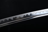 The Namihana Carbon Steel Tachi
