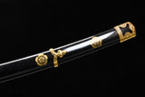 The Shiranui T10 Steel Tachi