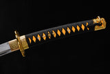 The Shiranui T10 Steel Tachi