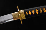 The Shiranui T10 Steel Tachi
