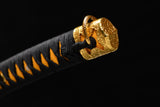 The Shiranui T10 Steel Tachi