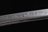 The Shiranui T10 Steel Tachi