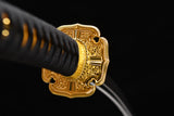 The Shiranui T10 Steel Tachi