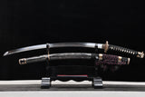 The Akebono T10 Steel Tachi