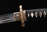 The Akebono T10 Steel Tachi