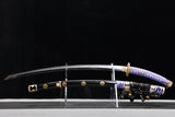 The Kagetsu Pattern Steel Tachi