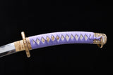 The Kagetsu Pattern Steel Tachi
