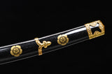 The Rinkaze T10 Steel Tachi