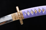 The Kagetsu Pattern Steel Tachi