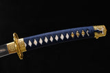 The Rinkaze T10 Steel Tachi