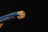 The Rinkaze T10 Steel Tachi