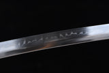 The Rinkaze T10 Steel Tachi