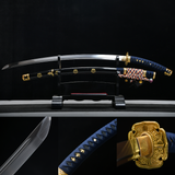 The Yamitsuki Carbon Steel Tachi