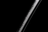 The Ebi Lobster Theme Katana T10 Steel Extra Sharp Aesthetic Polishing