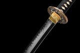 The Ebi Lobster Theme Katana T10 Steel Extra Sharp Aesthetic Polishing
