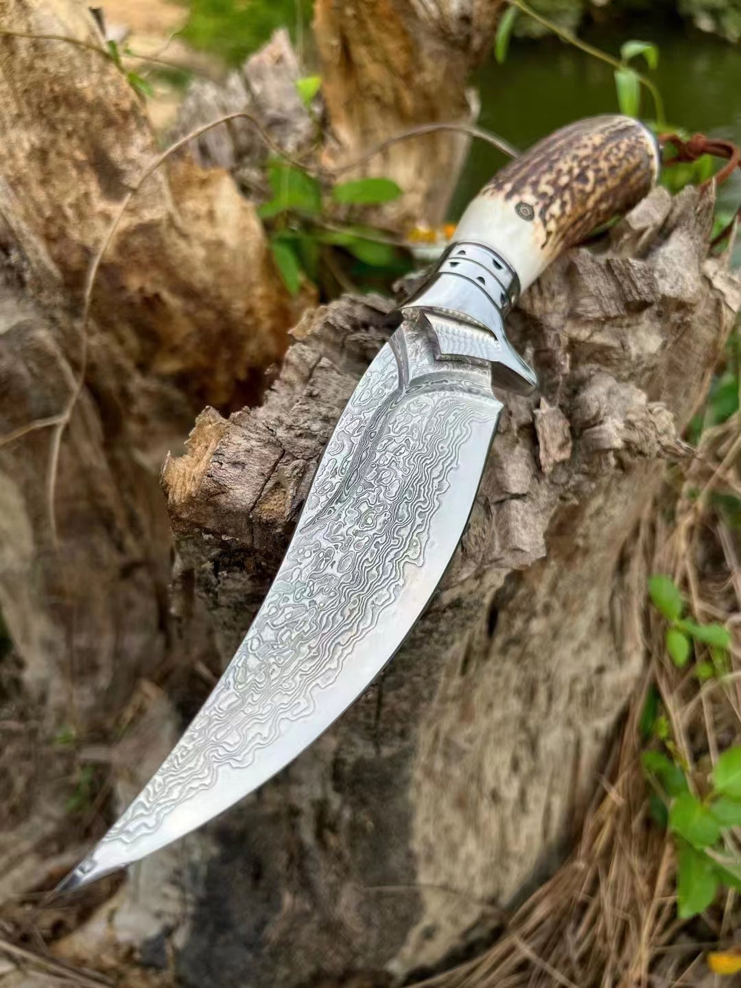Fortunate Buck Damascus Steel Fixed Blade