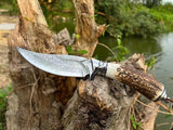 Fortunate Buck Damascus Steel Fixed Blade