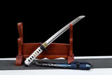 The Tsushima Tamashi Handmade Katana Set Spring Steel