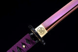 The Baumiginia Handmade Katana Spring Steel