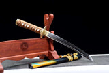 The Gorudo Ume Handmade Tanto Katana Clay Tempered T10 Steel