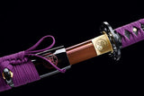 The Baumiginia Handmade Katana Spring Steel