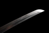 The Horidoragon Yuisho Handmade Katana Wakizashi Pattern Steel
