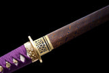 The Baioretto Handmade Tanto Katana Pattern Steel