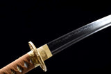 The Gorudo Ume Handmade Tanto Katana Clay Tempered T10 Steel