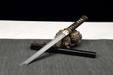The Kodai Hoshizora Handmade Tanto Katana Clay Tempered T10 Steel