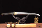 The Goruden Banbu Handmade Tanto Katana Clay Tempered T10 Steel