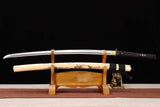 The Yama Akuma Handmade Katana Spring Steel