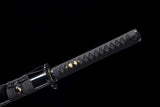 The Doku Ekitai Handmade Ninjato Carbon Steel