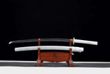 The Shirubadoragon Handmade Katana Clay Tempered T10 Steel