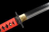The Goafindo Handmade Katana Clay Tempered T10 Steel Unokubi-Zukuri