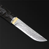 The Black Tortoise Damascus Steel Fixed Blade