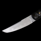 The Devil Tear SKD-11 Steel Fixed Blade