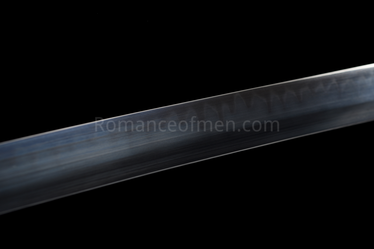 Shusui Katana