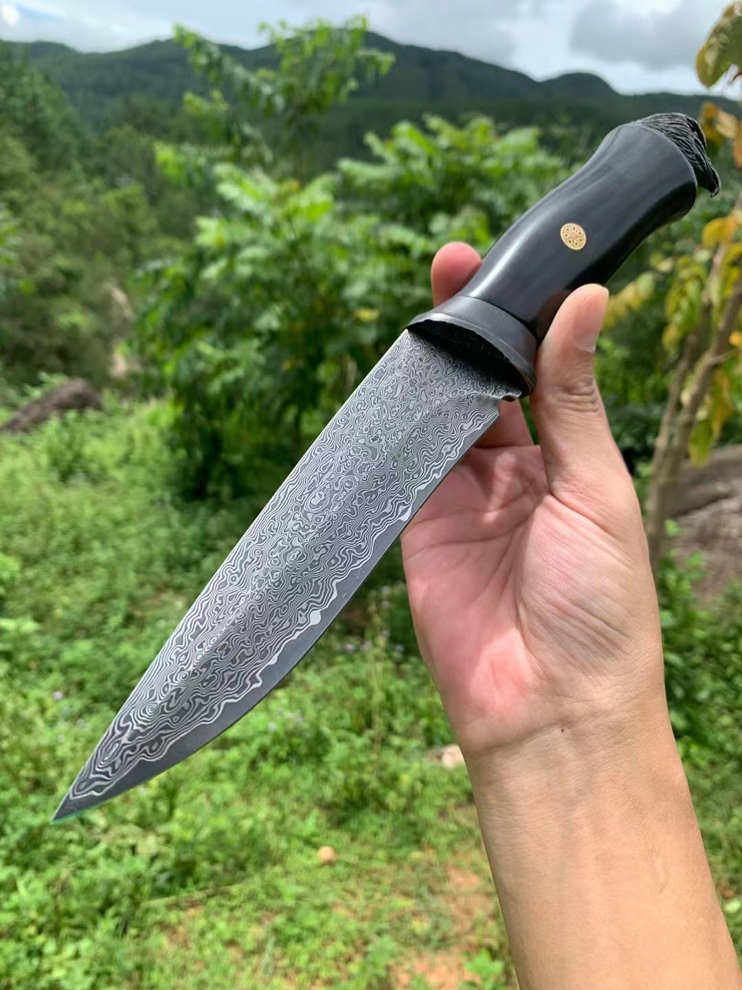 The Hawk sprit Damascus Steel Fixed Blade