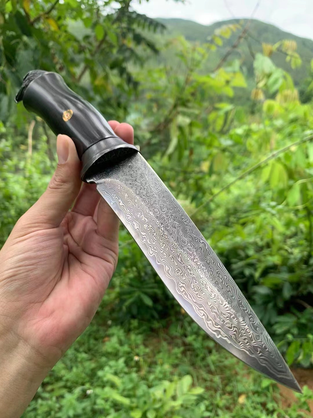 The Hawk sprit Damascus Steel Fixed Blade